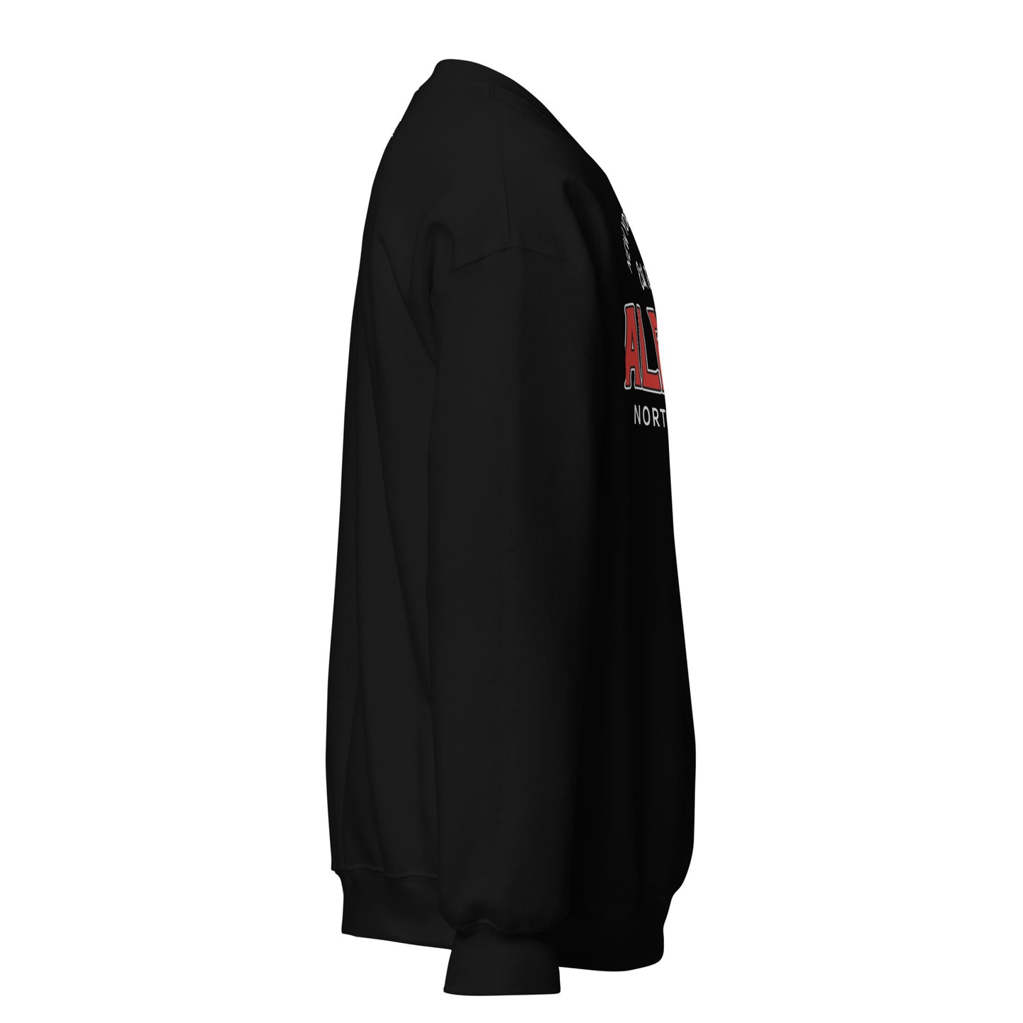 Black unisex sweatshirt with "ALBANY" and "NORTH" text.