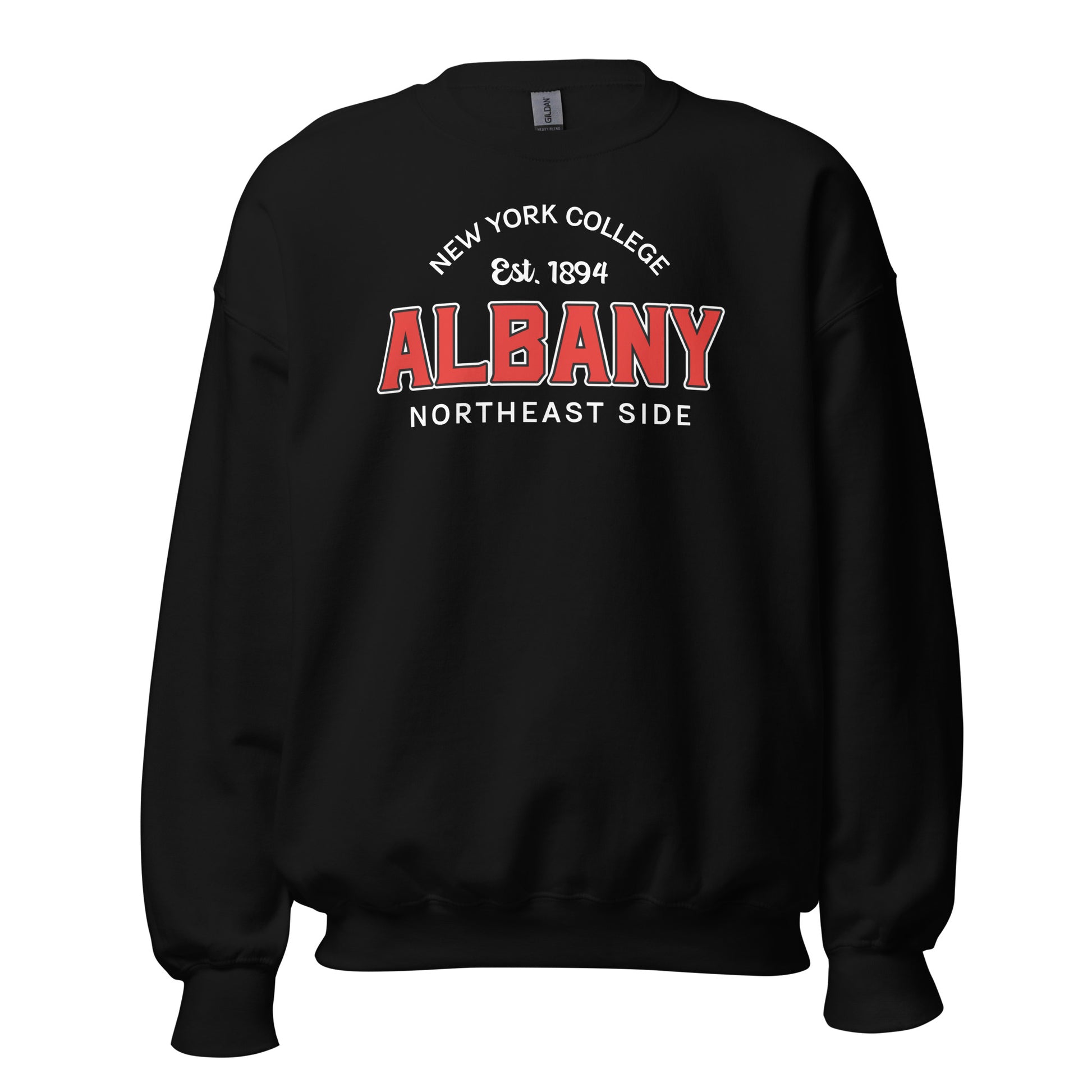 Black sweatshirt with "Albany New York College Est. 1894 Northeast Side" graphic.
