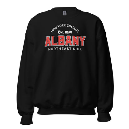 Black sweatshirt with "Albany New York College Est. 1894 Northeast Side" graphic.