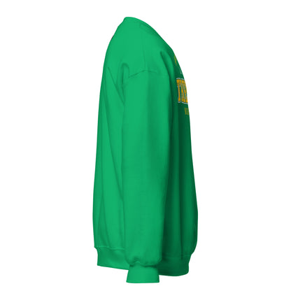 Green sweatshirt with "Trenton Northeast Side College" text.
