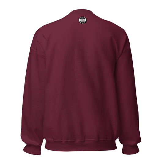 Maroon sweatshirt with a vintage college logo on the back.