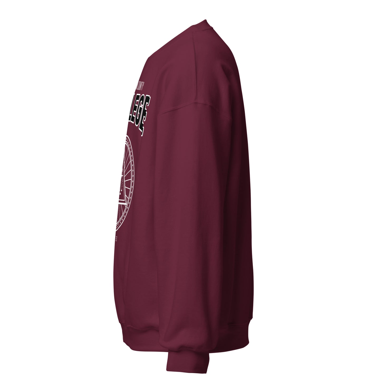 Freedom County College sweatshirt in maroon with vintage collegiate graphic.