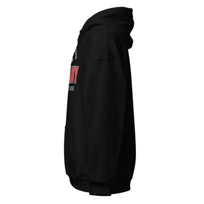 Black Albany College unisex hoodie with text on the front.